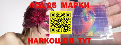 спиды Новозыбков