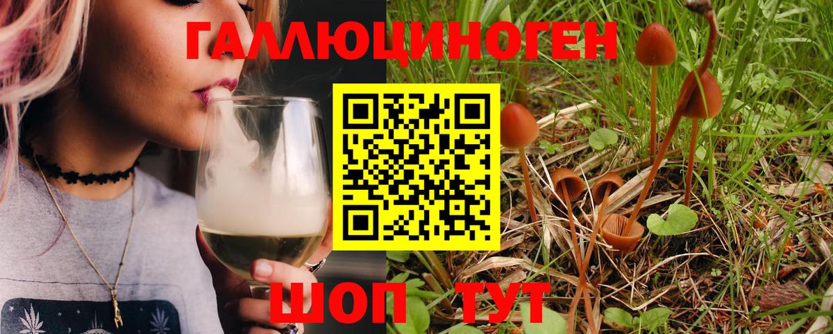 Псилоцибиновые грибы Cubensis  Вход с VPN  Галлюциногенные грибы Magic Shrooms  Балашов 
