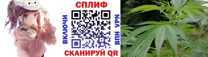 Каннабис сатива  блэк спрут ONION  Балашов 